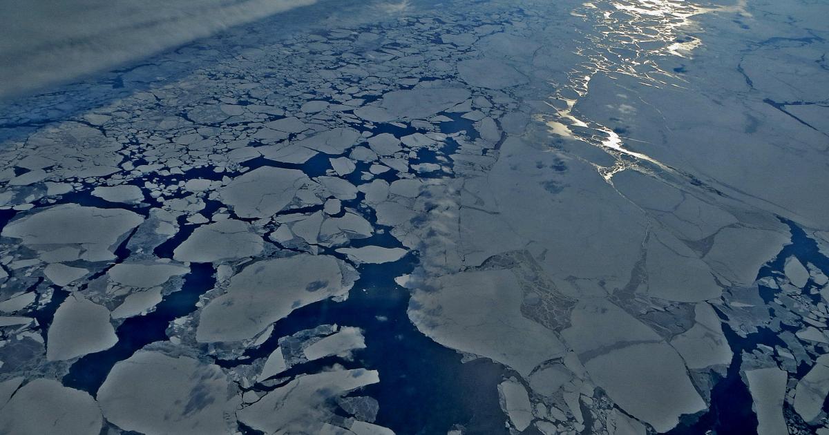 Scientists Look To Pacific Ocean To Narrow Down Timeline Of Ice-Free Arctic