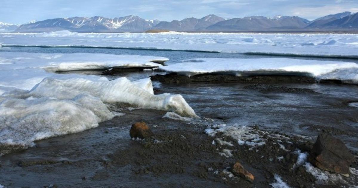 the-world-s-northernmost-island-discovered-off-greenland-s-coast