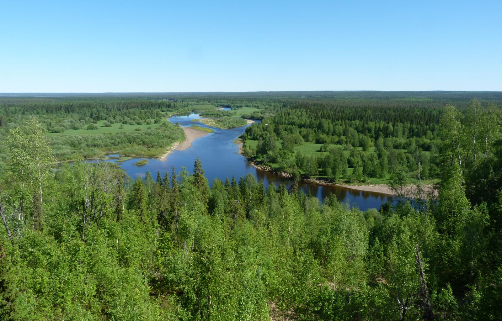 Old-growth forests protected in Finland