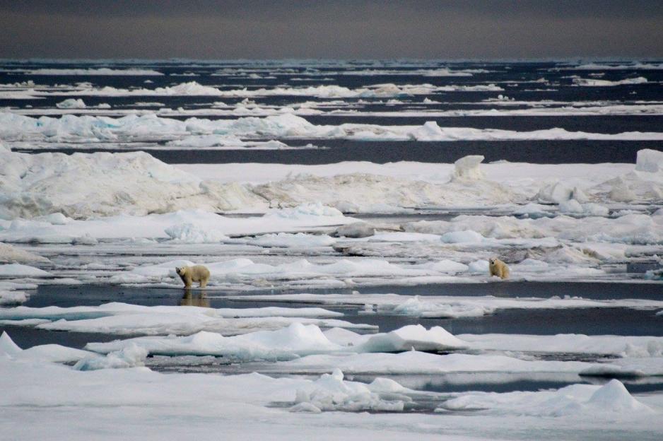 Opinion  The Arctic Ocean Should Be Protected, Not Exploited