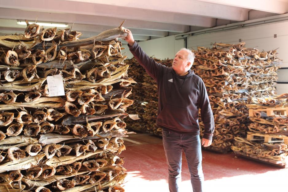 Indoor production of stockfish - Nofima