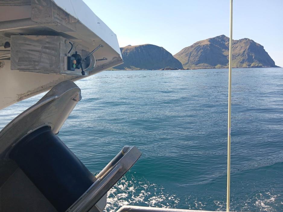 Fra blåkveitefisket. Fra blåkveitefisket.