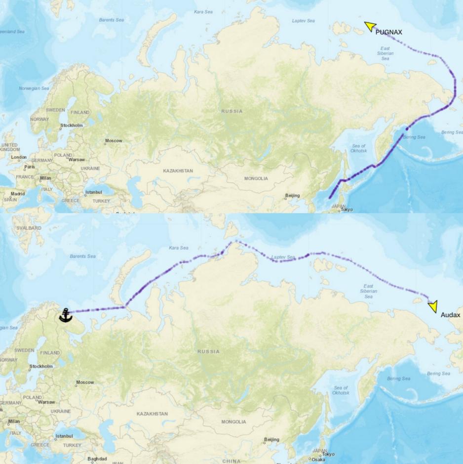 audax pugnax route.