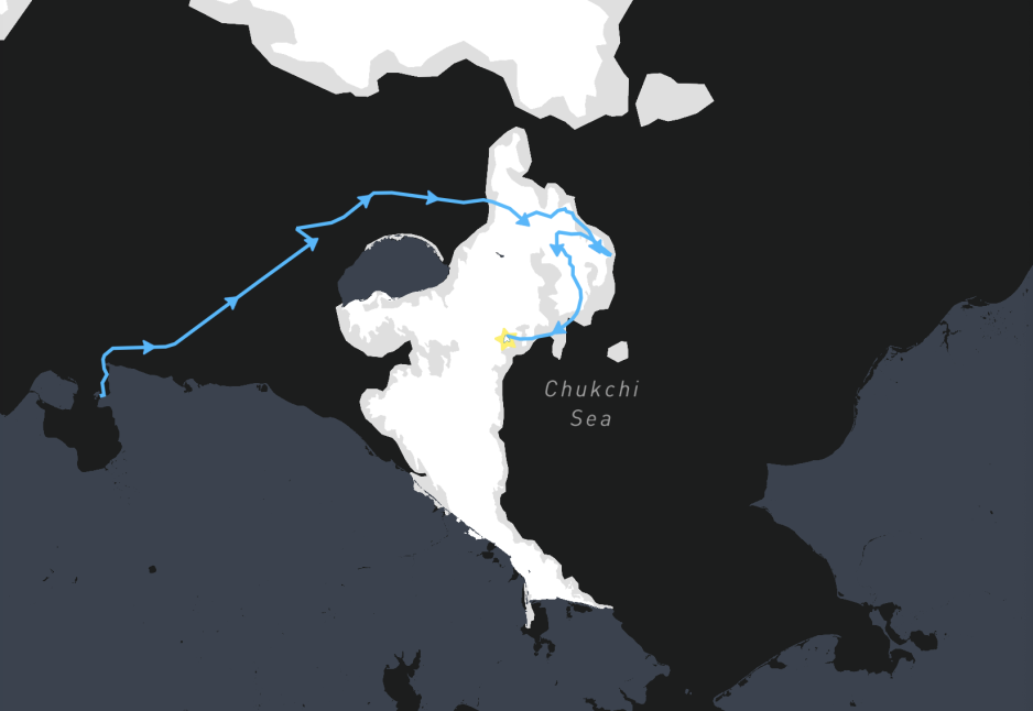 The route of Nuclear icebreaker Sibir The route of Nuclear icebreaker Sibir