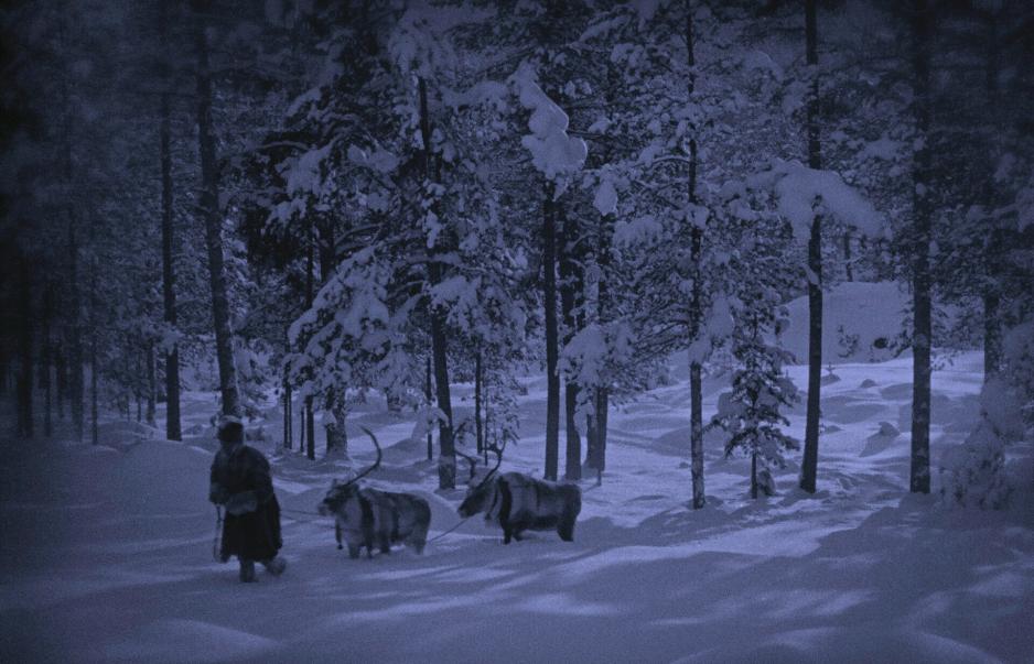 På nyåret presenteres stumfilmen Med ackja och ren i Inka Läntas vinterland (By Sledge and Reindeer in Inka Länta's Winterland) med livemusikk under Tromsø internasjonale filmfestival. (Pressebilde) På nyåret presenteres stumfilmen Med ackja och ren i Inka Läntas vinterland (By Sledge and Reindeer in Inka Länta's Winterland) med livemusikk under Tromsø internasjonale filmfestival. (Pressebilde)