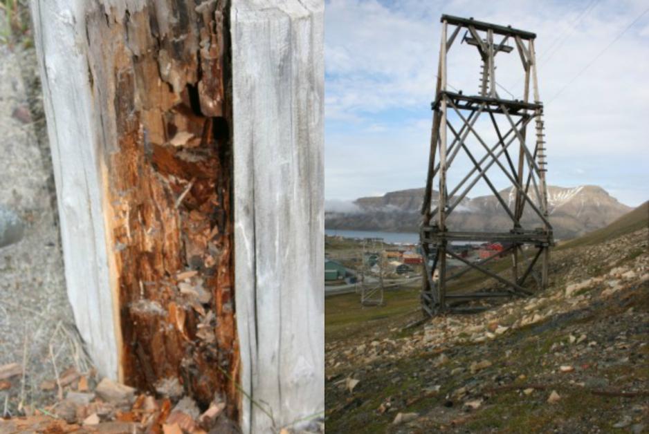 The rot fungi that appears to be most active in construction materials on Svalbard starts at the centre of the woodworks and works its way out towards the surface. The picture shows a wooden pole that rotten through on the inside. What is left, is a few millimeters of healthy wood in the lower part of the pole. The area near the ground is most endangered. Higher up, it is too dry for the fungi to grow, and down in the ground it’s too cold. The cableway work stands in Longyearbyen are based on wooden poles