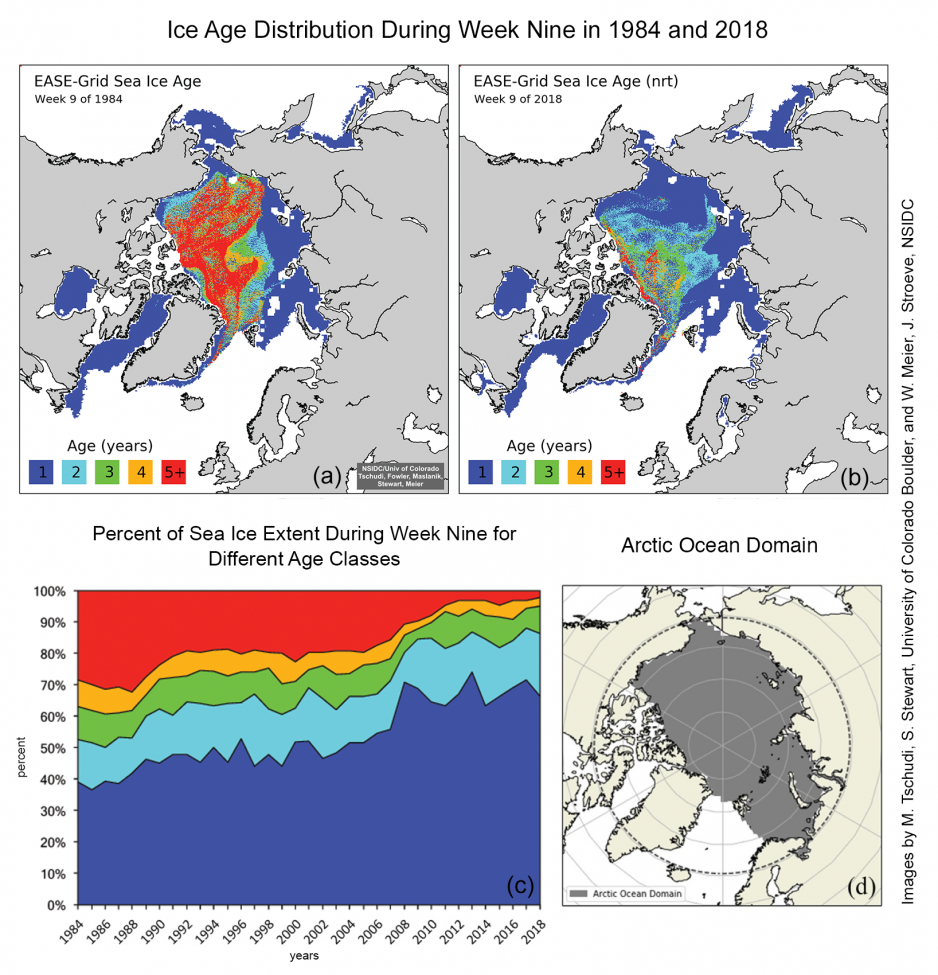 These maps show the ice age distribution during week nine in 1984 (a) and 2018 (b). The time-series (c) shows total sea ice extent for different age classes as is outlined in the Arctic Ocean Domain (d). (Source: Preliminary analysis courtesy M. Tschudi, University of Colorado Boulder. Images by M. Tschudi, S. Stewart, University of Colorado, Boulder, and W. Meier, J. Stroeve, NSIDC, http://nsidc.org/arcticseaicenews/2018/05/arctic-winter-warms-up-to-a-low-summer-ice-season/ )